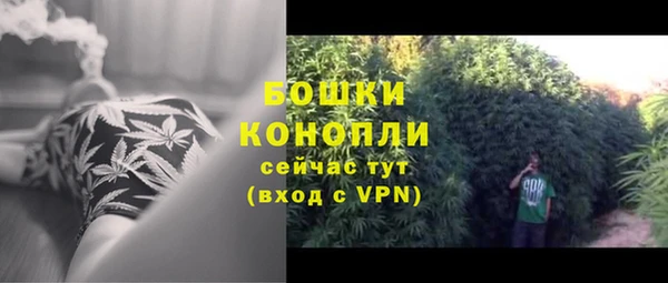 МДПВ Белокуриха