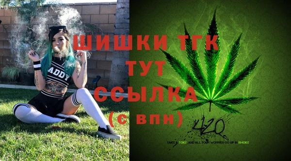 МДПВ Белокуриха